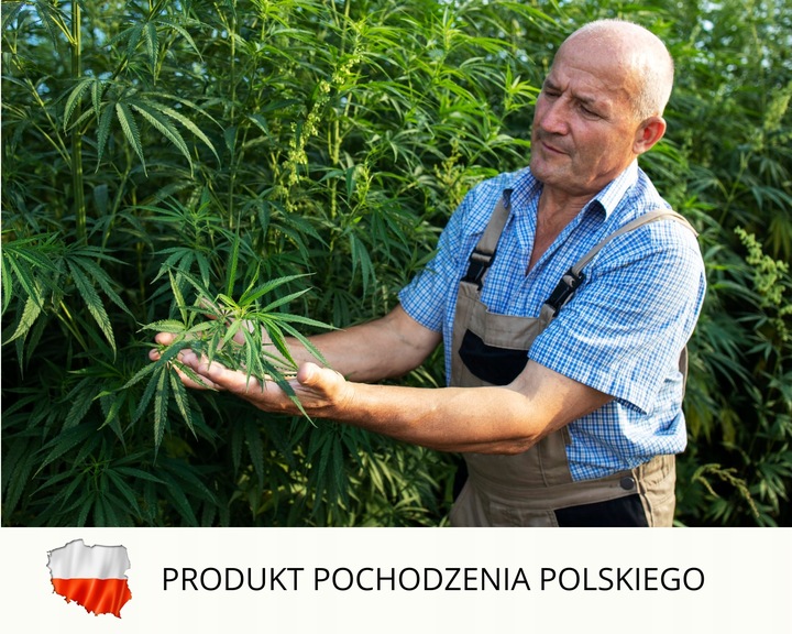 Olejek Konopny CBD Dla Psa 3% 11ml Bez THC Weterynaryjny