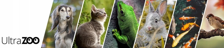 TRUX Karma ziarno dla ptaków zimujących 10kg sikorek wróbli gołębi zimowa