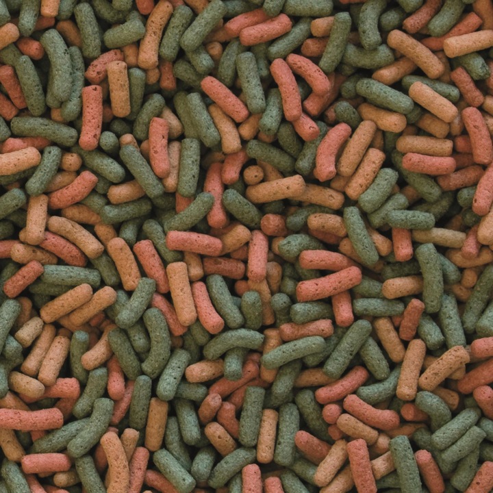 TROPICAL BIOREPT W POKARM DLA ŻÓŁWI WODNYCH I ZIEMNOWODNYCH 5l 1,5kg