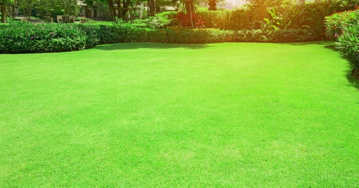 OBORNIK Granulowany BYDLĘCY Nawóz Jesienny Wiosenny do Roślin Warzyw