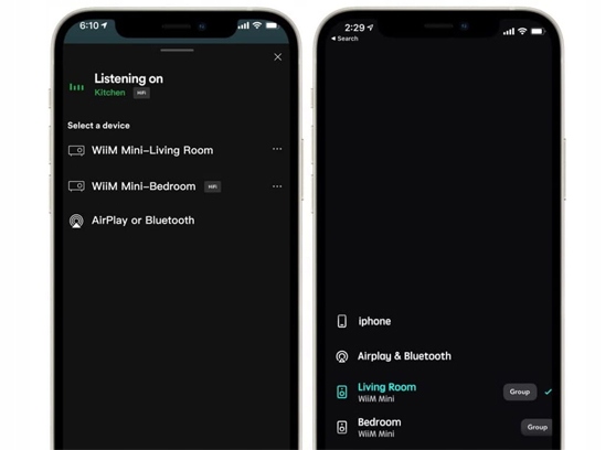 WIIM MINI ODTWARZACZ SIECIOWY STREAMER | WiFi | Bluetooth 5.0 |