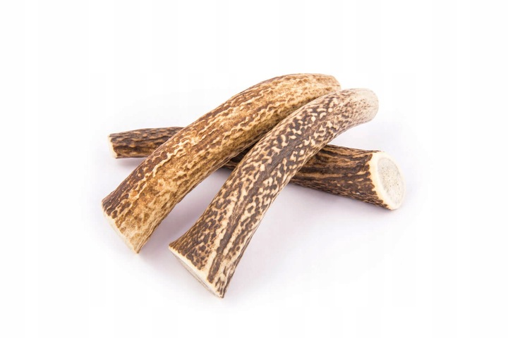 4DOGS Gryzak z poroża - poroże jelenia L hard