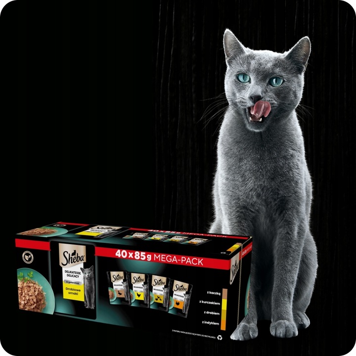 MOKRA KARMA DLA KOTA SHEBA DELICACY DROBIOWE SMAKI W GALARETCE 40x85G