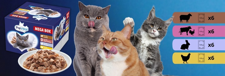 MOKRA KARMA DLA KOTA MEGA BOX MIX SMAKÓW 24X100G SASZETKI DLA KOTA PREVITAL