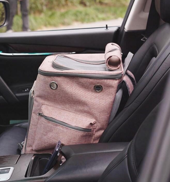 Transporter PLECAK dla psa / kota (I133)