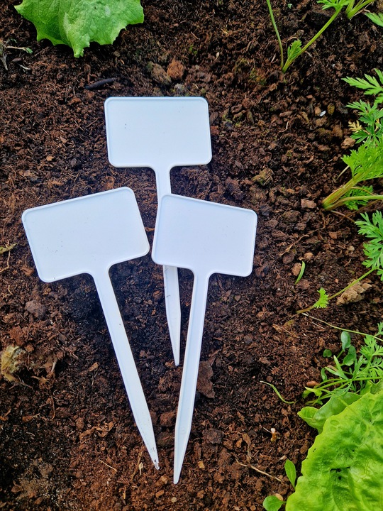 Tabliczki etykiety do opisu roślin PL producent 60x40x155 mm 100 szt.