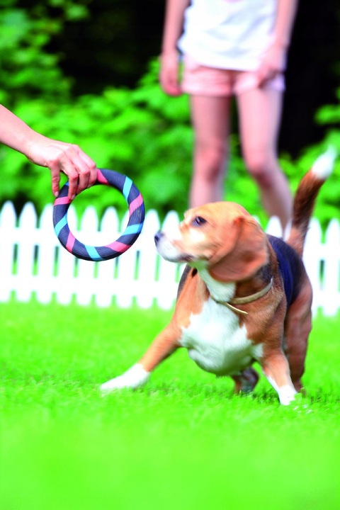 Płotek Palisada Ogrodowa 3,2m IPŁSU Brązowa