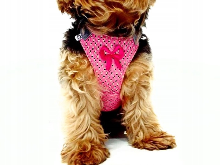 Pelo Szelki -Pelki bezuciskowe AŻUR granatowe .r.3