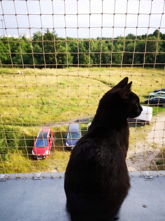 ZESTAW SIATKA NA BALKON 5x3 DLA KOTA WZMOCNIONA DRUCIKIEM BEZ WIERCENIA