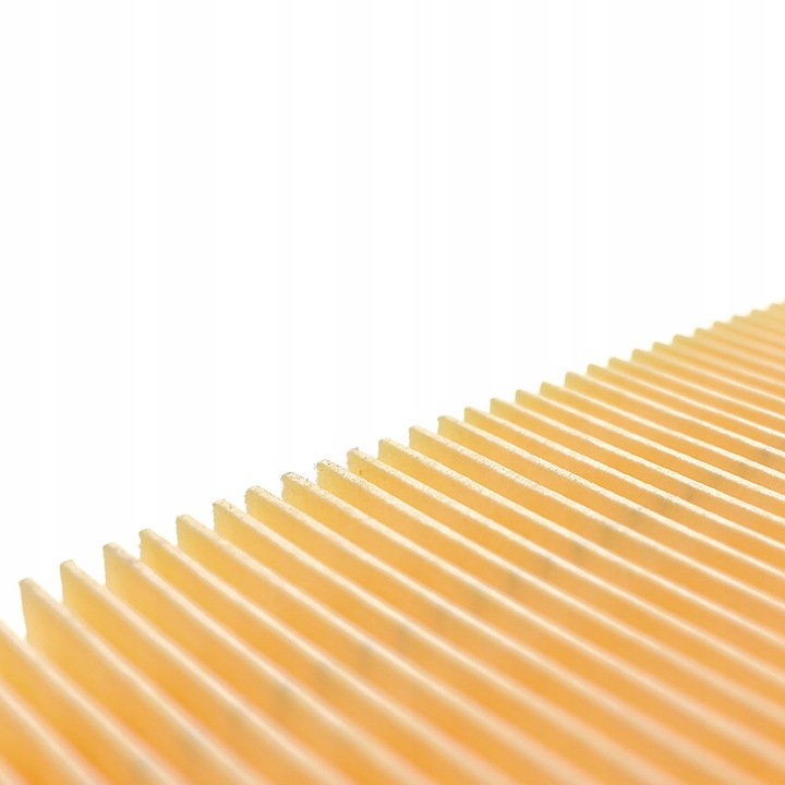 10x WORKI FILTR DO ODKURZACZA KARCHER WD4 WD5 WD6 PREMIUM KWD6 MV4 MV5