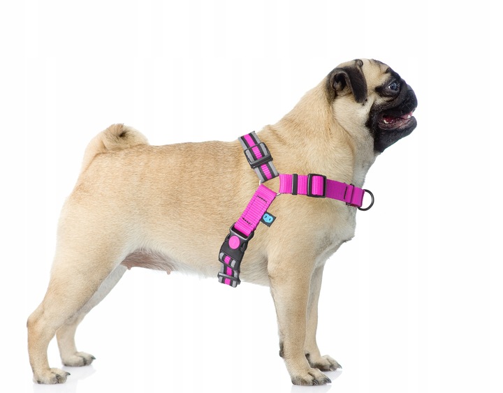 Szelki treningowe dla psa typu easy walk, ODBLASKI