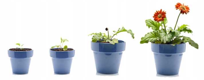 LAMPA Z ŻARÓWKA E27 DO WZROSTU UPRAWY ROŚLIN PANEL FULL SPECTRUM 20W 200LED