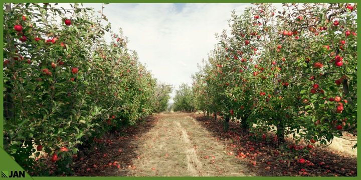 Drut Do Siatki Leśnej fi 1,4mm Zwój 40m Zastosowanie Uniwersalne Ocynkowany