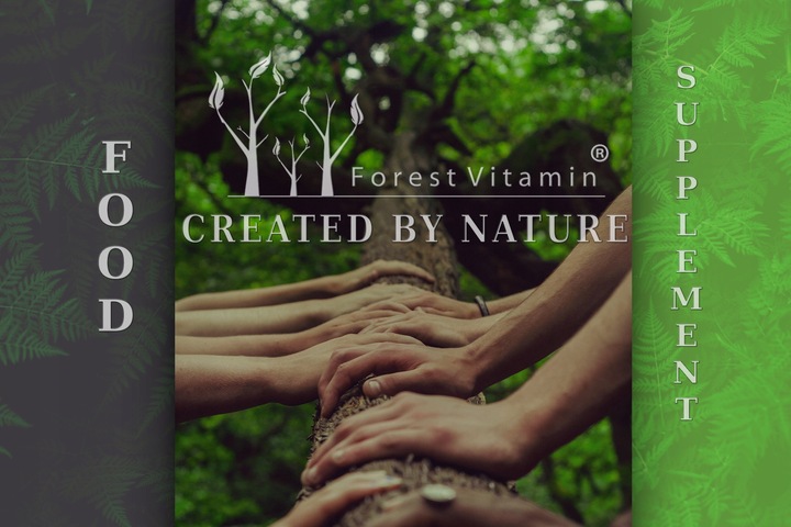 FOREST WITAMINA K2 MK-7 500mcg 100 tab NATURALNA