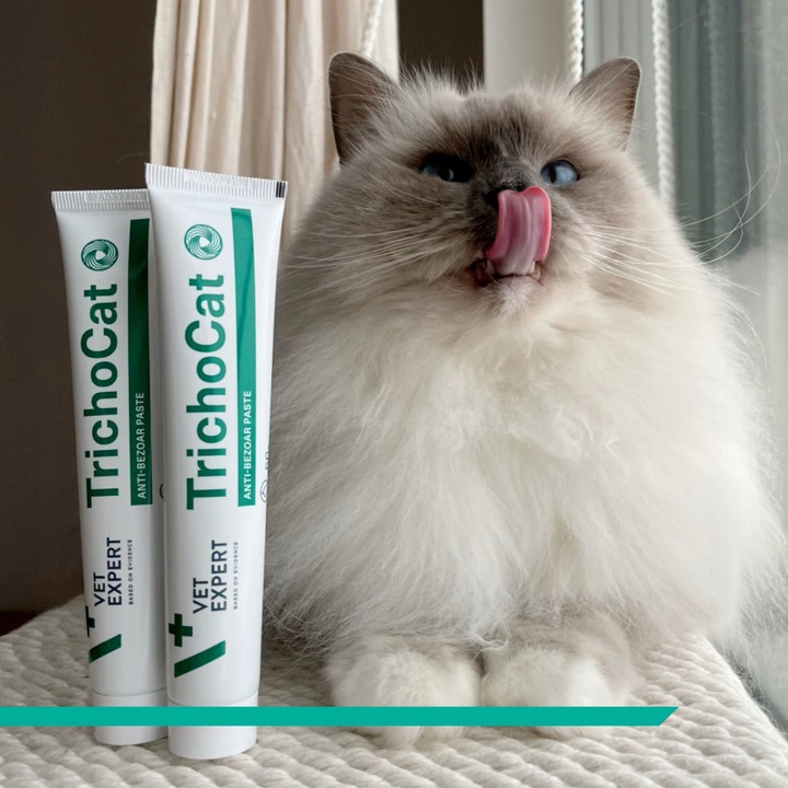 Pasta odkłaczająca dla kotów preparat odkłaczanie Vet Expert Trichocat 50 g