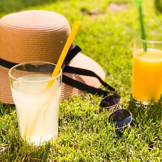 LEMONIADA MANGO POMARAŃCZA CYTRYNA NATURALNA 100% NFC ZDROWA 5L