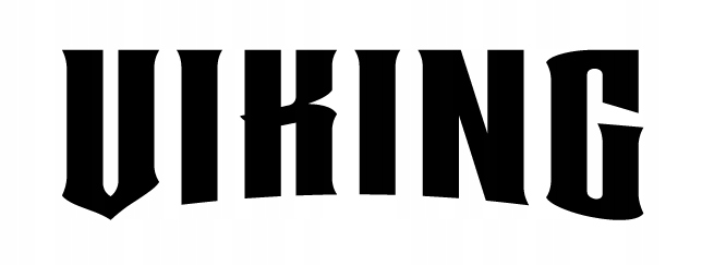 POJEMNIK NA CIASTO DUŻY BOX Z POKRYWĄ NA ŻYWNOŚĆ UCHWYT TRANSPORTER