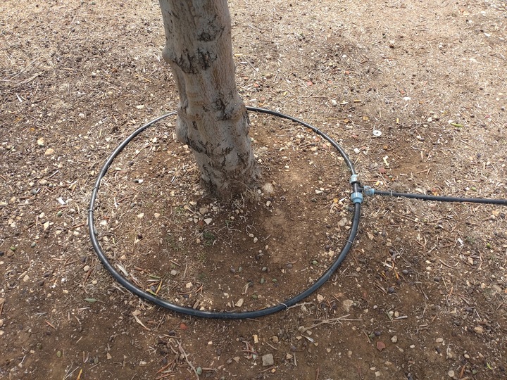 Linia kroplująca z kompensacją 100m zestaw PREMIUM