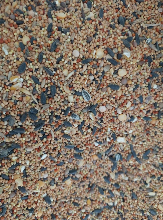 Kampol O-MIX DROBNY karma dla Papug, Dzikich Ptaków 25kg