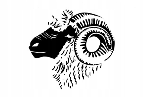 Czapka zimowa Brubeck Ranger Wool unisex Termoaktywna wełna merynosa