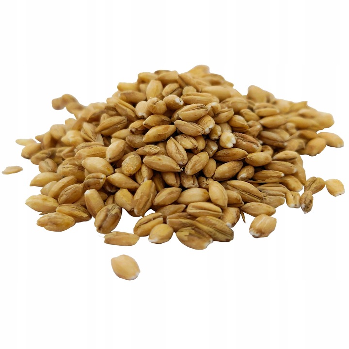 Kasza PĘCZAK JĘCZMIENNA 25kg worek