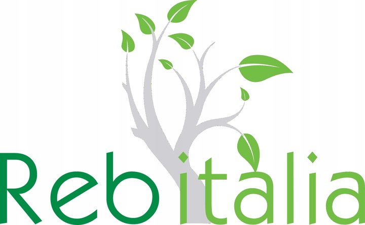 Szampon Rebitalia Pityremove Cream- kremowy szampon przeciwłupieżowy 250ml