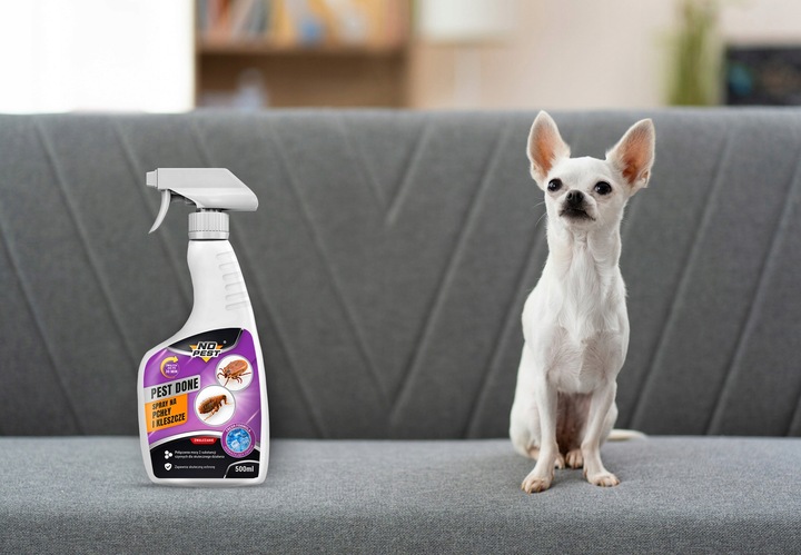 SPRAY ŚRODEK PŁYN NA PCHŁY PREPARAT NA PCHŁY CYPERMETRYNA NO PEST PEST