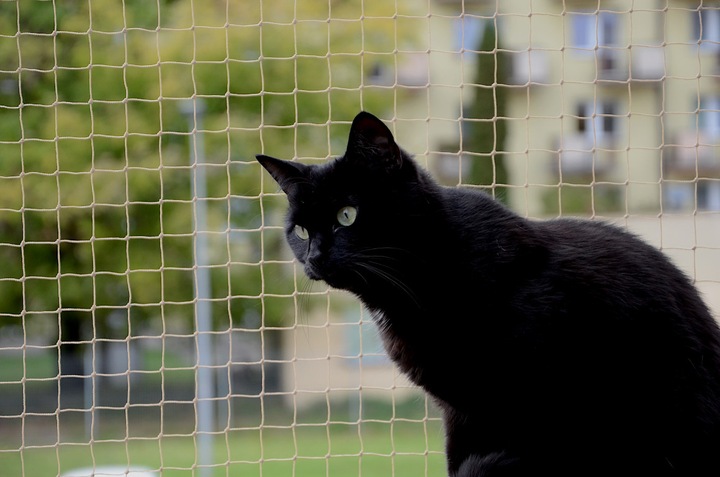 ZESTAW SIATKA NA BALKON DLA KOTA 5x3 BEZ WIERCENIA MARKA BEZPIECZNE KOTY