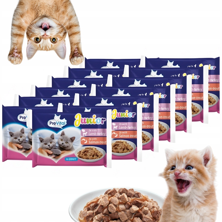 KARMA MOKRA DLA KOTA PREVITAL JUNIOR 52 X 100G SASZETKI DLA KOCIĄT MIX