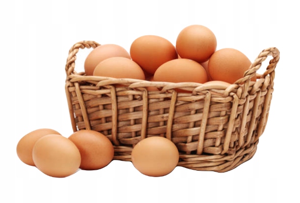 Dolmix DN Dolfos mieszanka witaminowo mineralna dla kur niosek 5kg