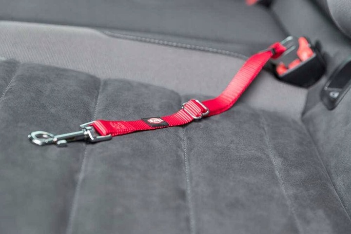 Trixie SZELKI SAMOCHODOWE dla Kota 20-50cm