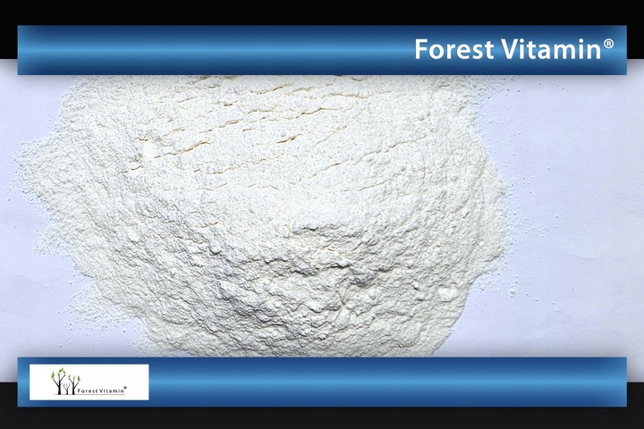FOREST VITAMIN AMINOKWASY BCAA INSTANT 2:1:1 500g MOCNA REGENERACJA