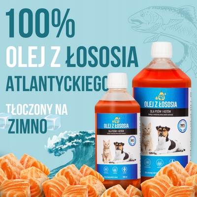 LAB V Olej z łososia dla psa i kota 5000ml 5L