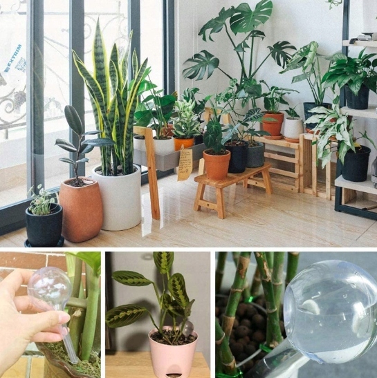 KULE NAWADNIAJĄCE DO KWIATÓW ROŚLIN DONICZEK DOZOWNIK WODY ZESTAW 8szt