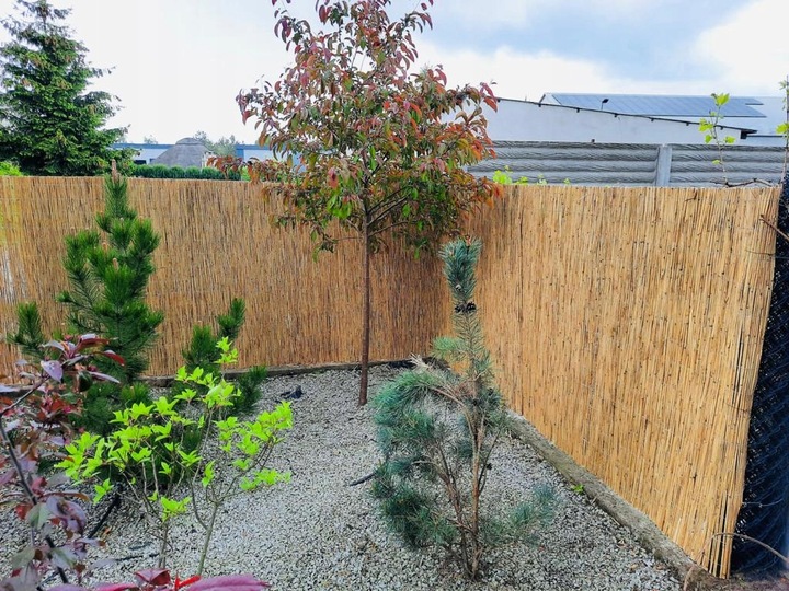 Mata trzcinowa 180 x 600 cm Maty trzcinowe 1.8 x 6