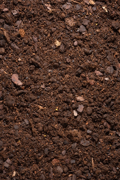 Ziemia do SKRZYDŁOKWIATA, BANANOWCA, PACHIRY i PAPROCI 5L bigos,