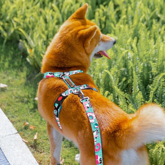 SZELKI GUARD DLA PSA REGULOWANE MOCNE BEZUCISKOWE WYGODNE PORZĄDNE roz. L
