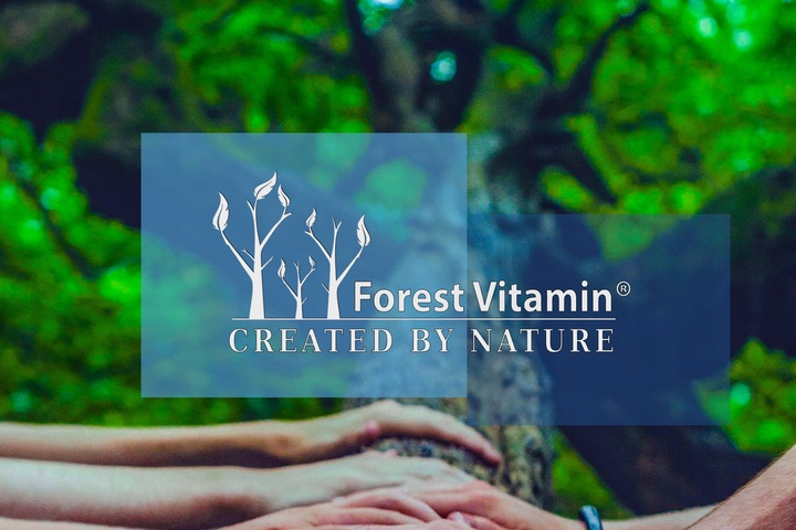 FOREST VITAMIN AMINOKWASY BCAA INSTANT 2:1:1 500g MOCNA REGENERACJA