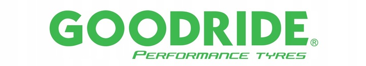 4x 205/55R16 Z-401 91V GOODRIDE całoroczne nowe ROK 2025