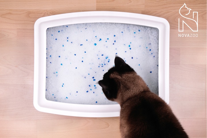 8x ŻWIREK SILIKONOWY LAWENDOWY BEZPYŁOWY PREMIUM DLA KOTA NOVAZOO 3.8L