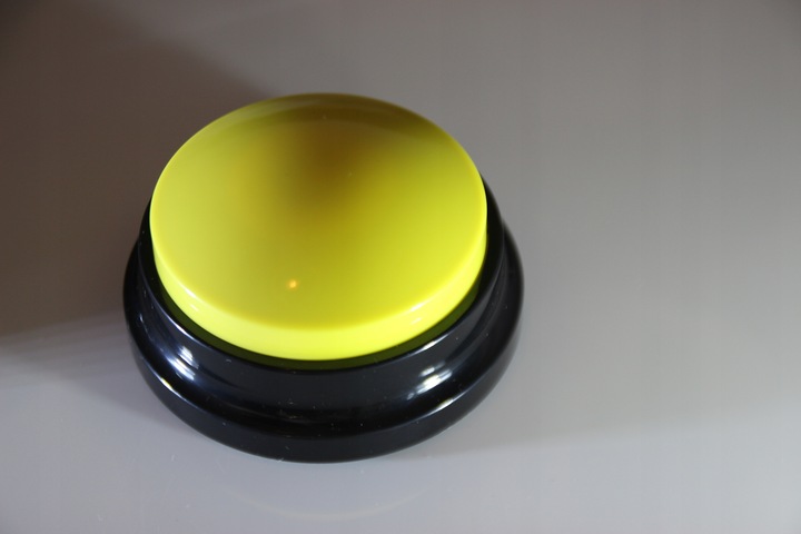 PRZYCISK SZKOLENIA Psa Kota NAGRYWANIE DŹWIĘKU przyciski NAUKA 2szt MP097