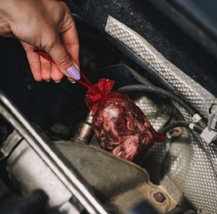 Odstraszacz przeciwko kunom Kunagone 6 sztuk