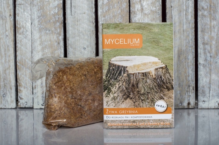 Żywa grzybnia do usuwania pni i korzeni drzew