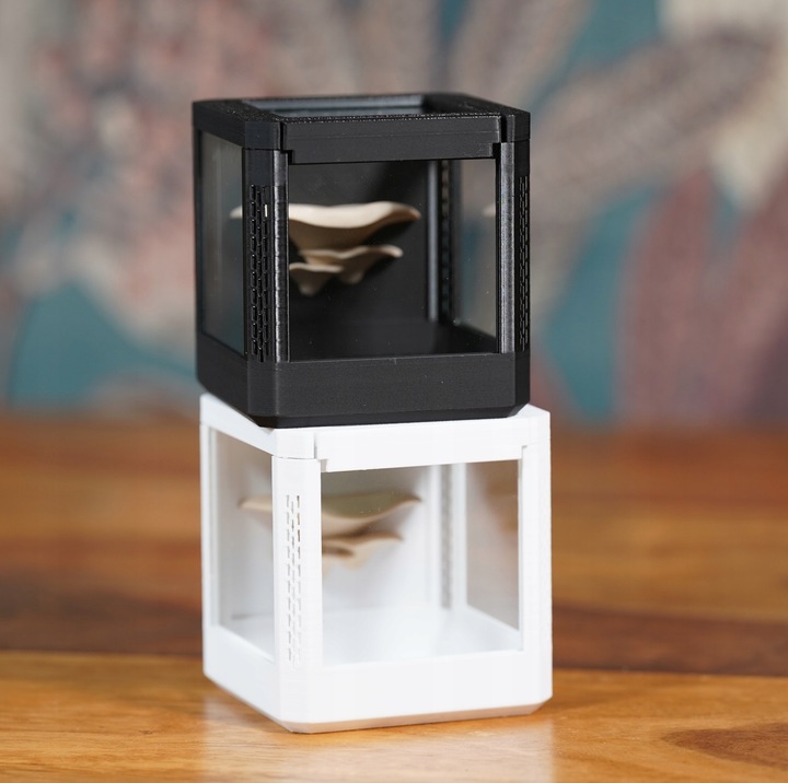 Terrarium szklane -6,5 x 6,5 x 6,5 dla pająka, modliszki, skakuna