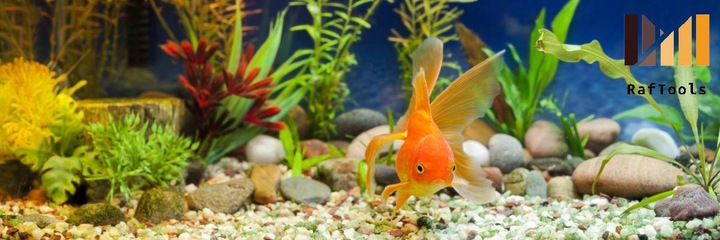 ZESTAW DO CZYSZCZENIA AKWARIUM CZYŚCIK SKROBAK ŁOPATKA DO AKWARIUM 55CM