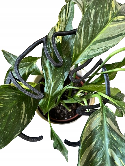 Podpórki do roślin kwiatów podpórka podpora obręcz RING MONSTERA M 33cm