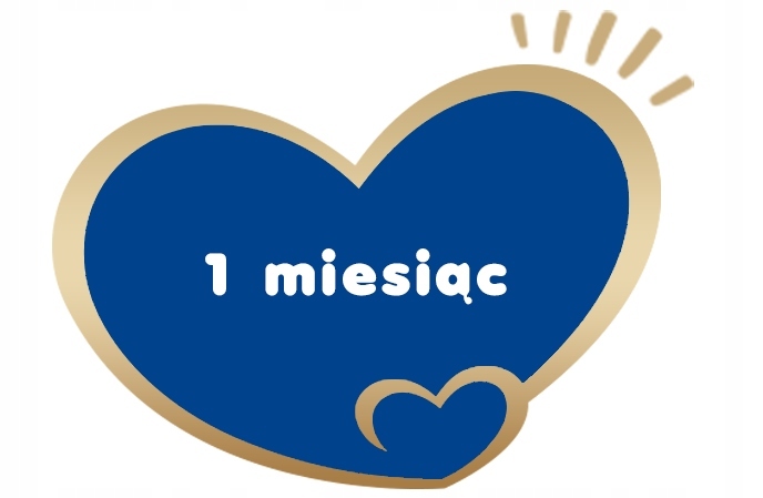 BEBIKO PRO+ 1 MLEKO POCZĄTKOWE 0-6m 700g