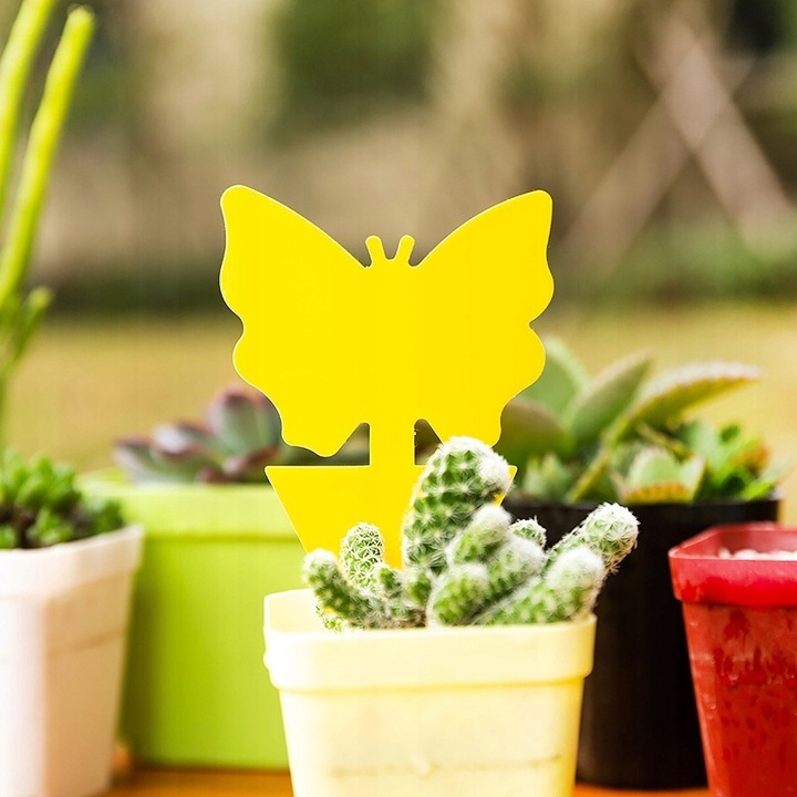 12x ŻÓŁTY LEP DO DONICZEK MOTYL na ziemiórki mszyce muszki owocówki owady
