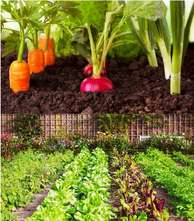 JESIENNY EKOLOGICZNY NAWÓZ UNIWERSALNY do ogrodów i sadów - 10kg