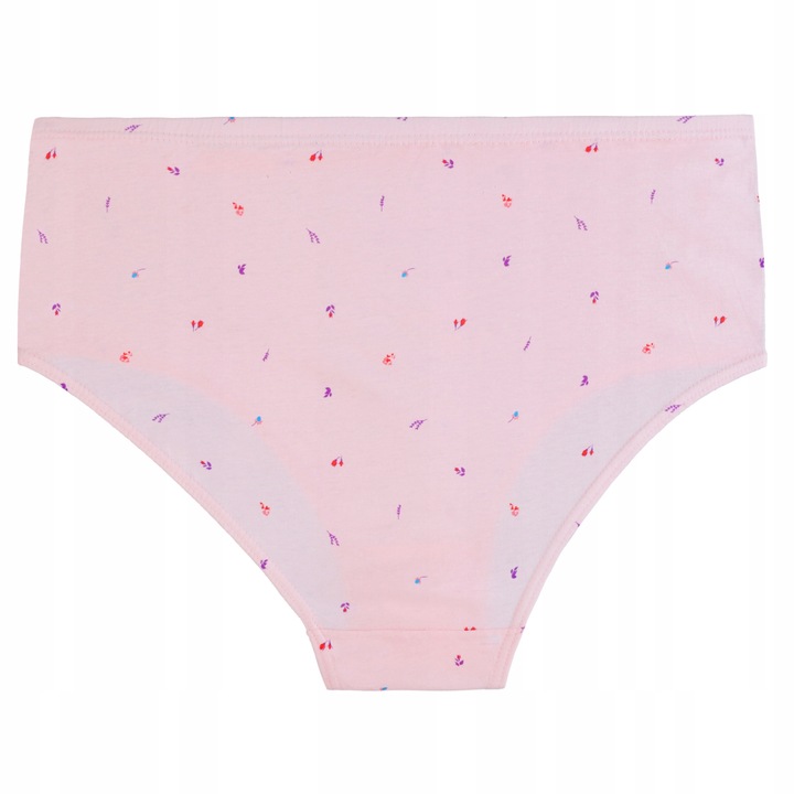 MAJTKI DAMSKIE BAWEŁNIANE MORAJ PLUS SIZE KLASYCZNE 4-PAK. ROZM. 4XL